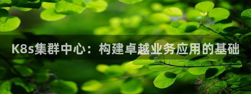 卧龙娱乐2代理注册：K8s集群中心：构建卓越业务应用的基础