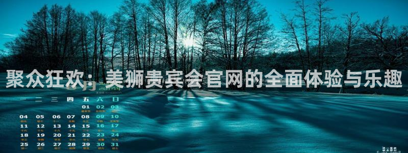 卧龙娱乐体育代理：聚众狂欢：美狮贵宾会官网的全面体验与乐趣