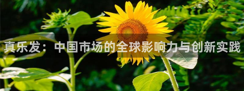 卧龙娱乐体育凯捷平台招商：真乐发：中国市场的全球影响力与创新实践
