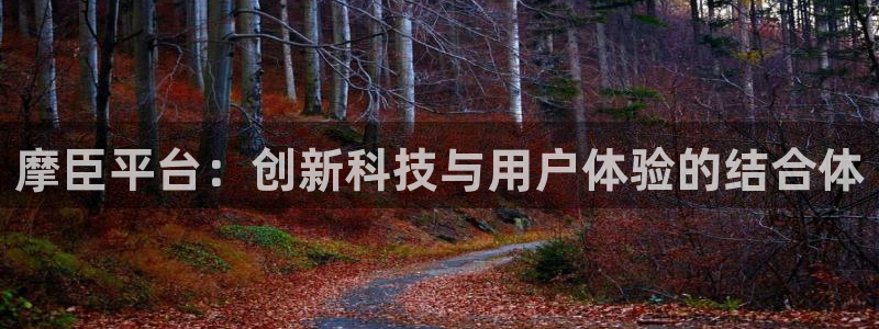 卧龙娱乐体育论坛：摩臣平台：创新科技与用户体验的结合体