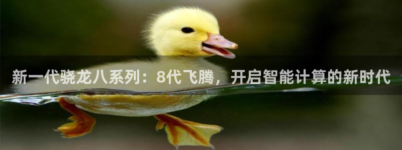 卧龙娱乐2登录：新一代骁龙八系列：8代飞腾，开启智能计算的新时代