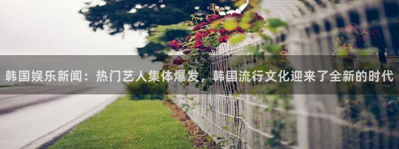 卧龙娱乐体育注册代理：韩国娱乐新闻：热门艺人集体爆发，韩国流行文化迎来了全新的时